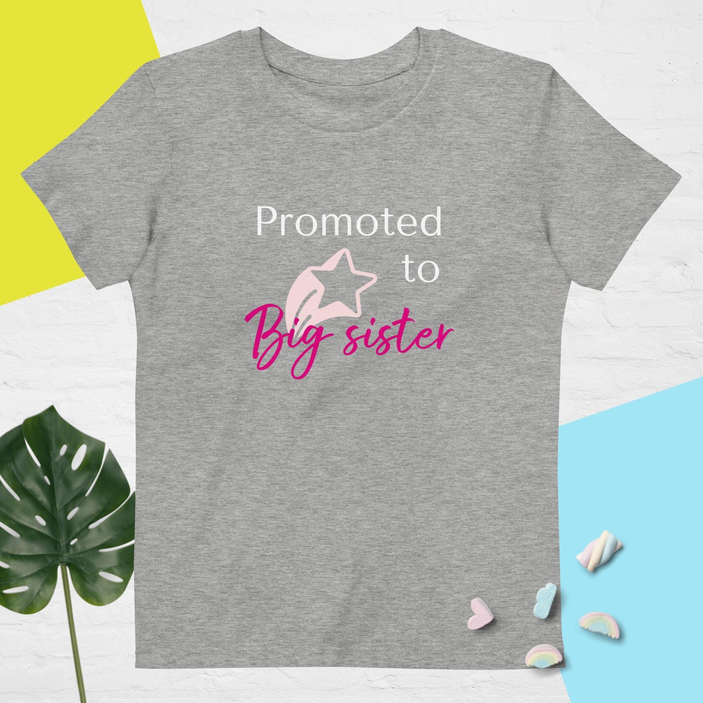 Organic cotton kids t-shirt big sister