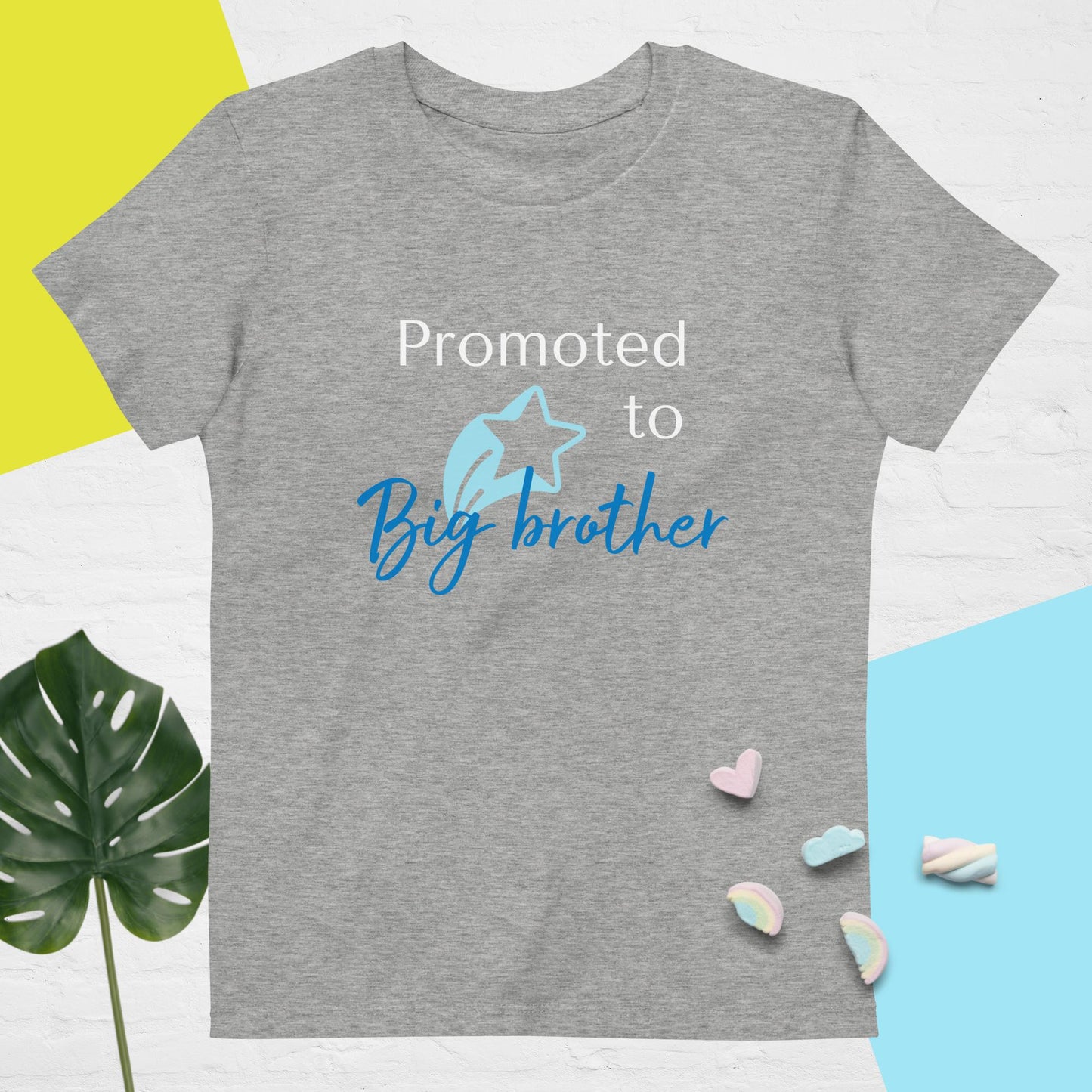 Organic cotton kids t-shirt big brother