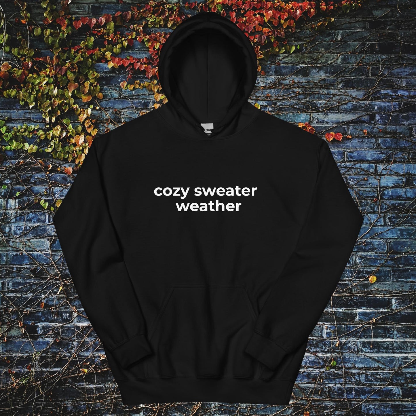 Unisex Hoodie Cozy sweater weather