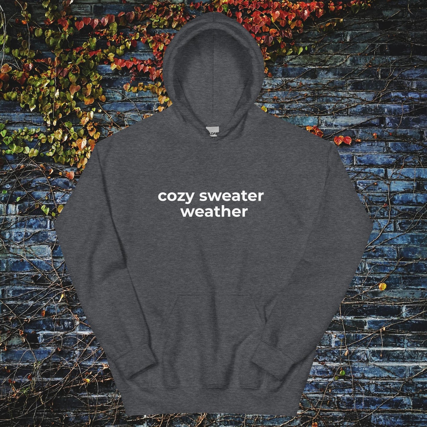 Unisex Hoodie Cozy sweater weather