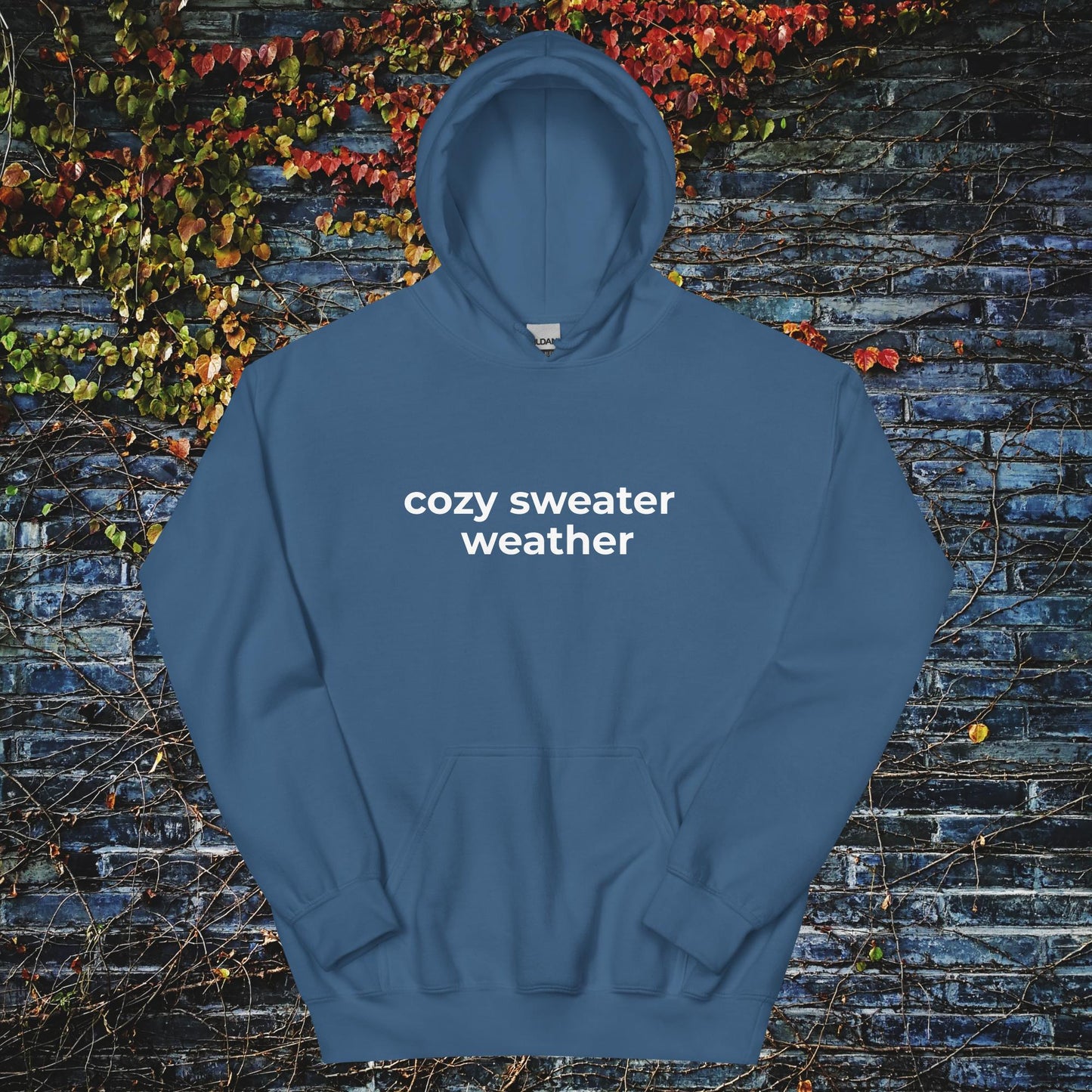 Unisex Hoodie Cozy sweater weather