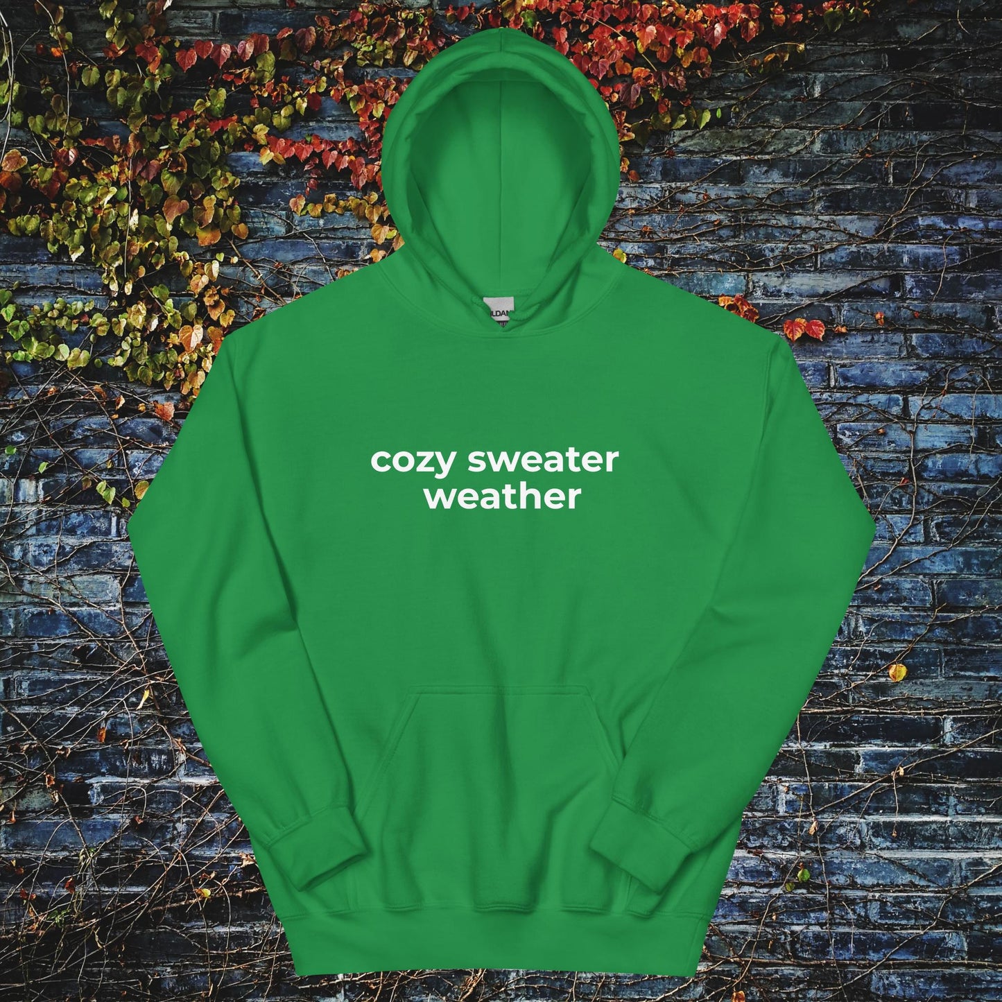 Unisex Hoodie Cozy sweater weather