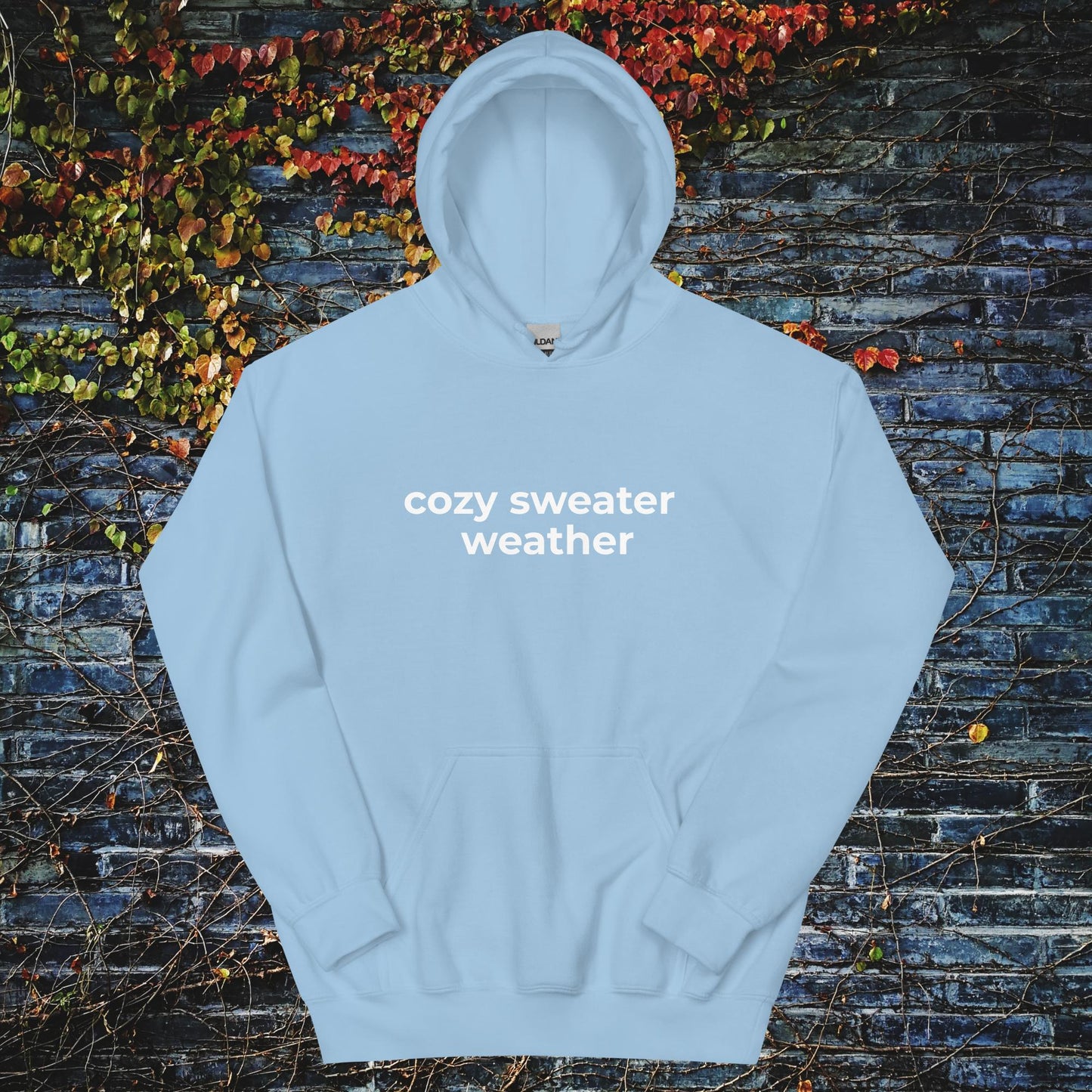 Unisex Hoodie Cozy sweater weather