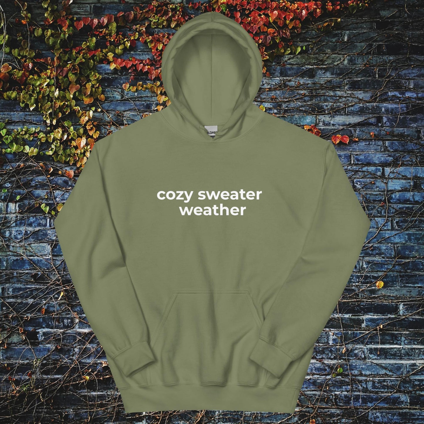 Unisex Hoodie Cozy sweater weather