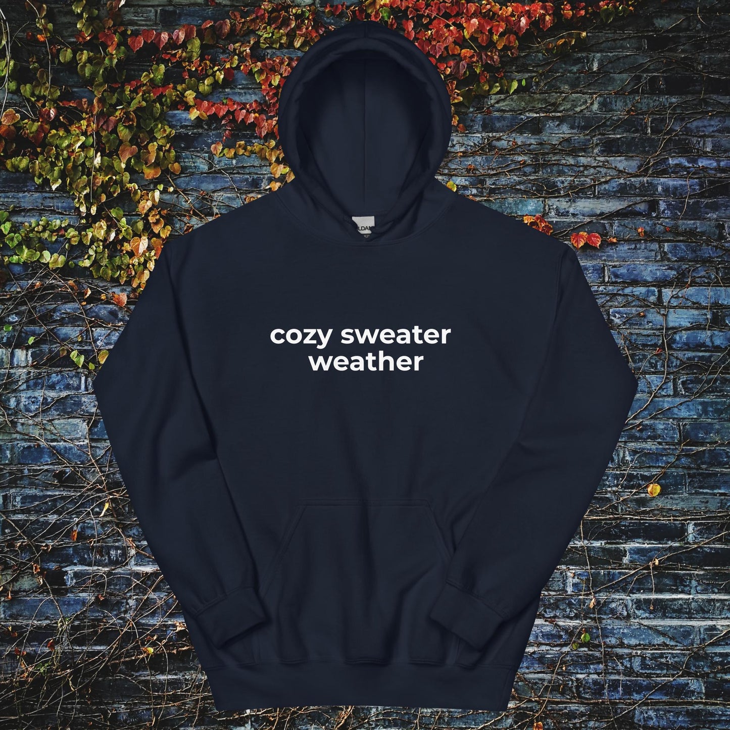 Unisex Hoodie Cozy sweater weather