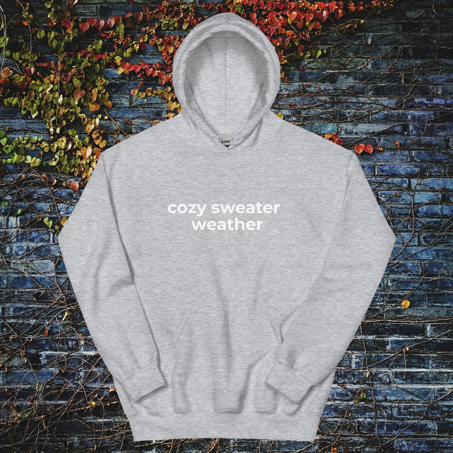 Unisex Hoodie Cozy sweater weather